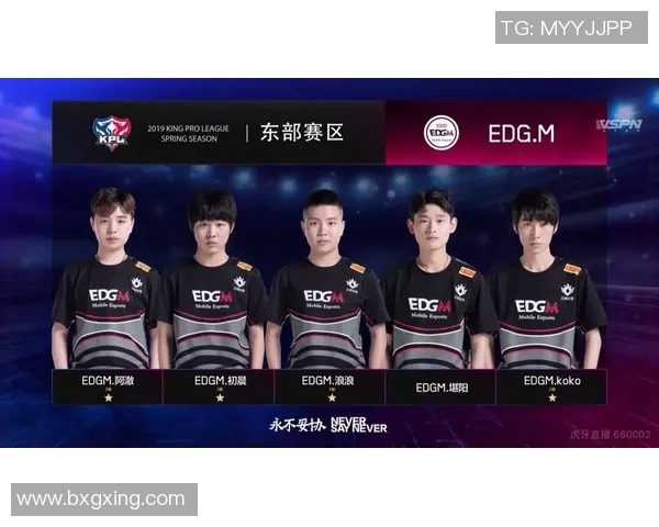 聚焦王者荣耀EDG战队技术解析与战术创新探讨 聚焦王者荣耀EDG战队技术解析与战术创新探讨