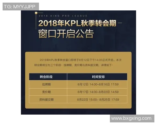 王者荣耀热点分析：深入探讨IG战队的防守策略与战术布局